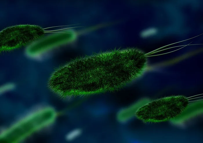 Tanda Virus Nipah, Gejala Awal hingga Risiko Kematian