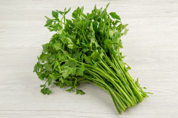 Khasiat Rebusan Seledri, Bagaimana agar Manfaat Maksimal? - Amalia ...